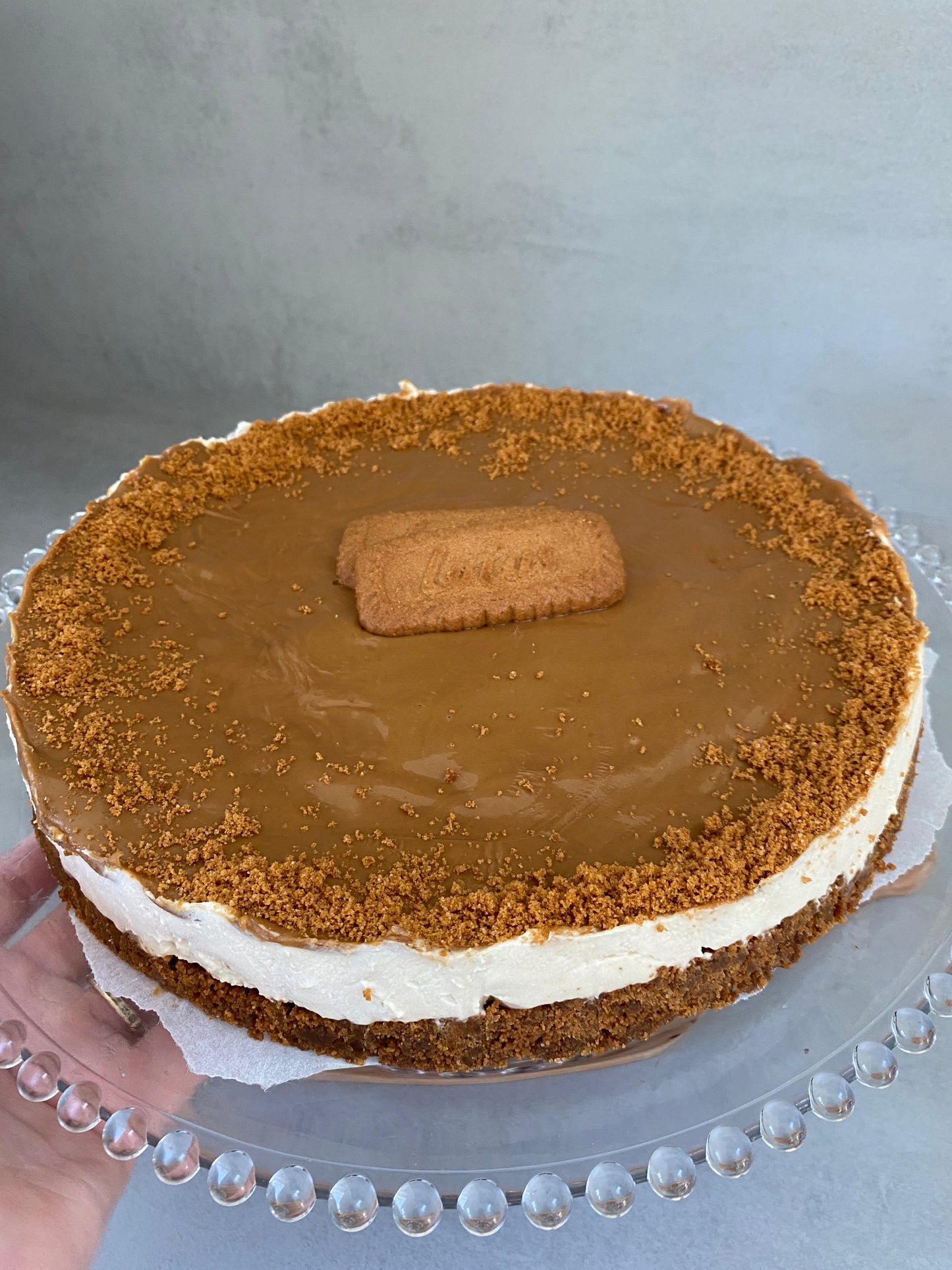 Cheesecake Spéculoos